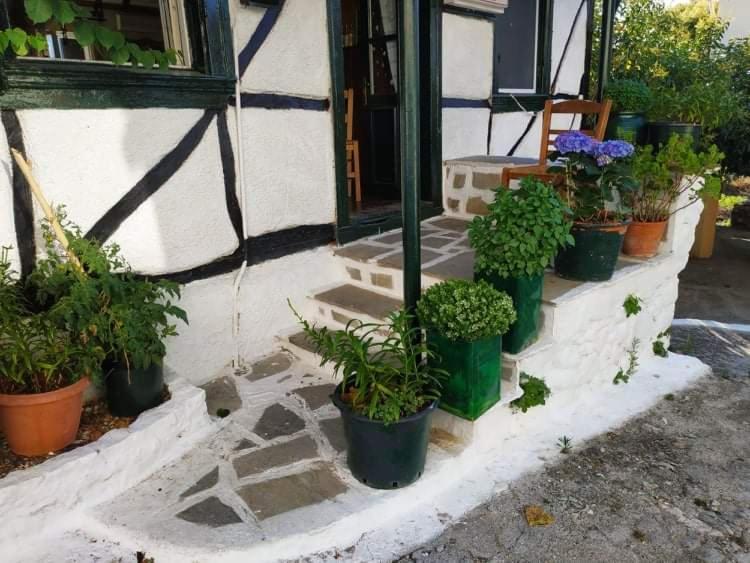Lefkada Villas Panoramic Katouna Екстериор снимка